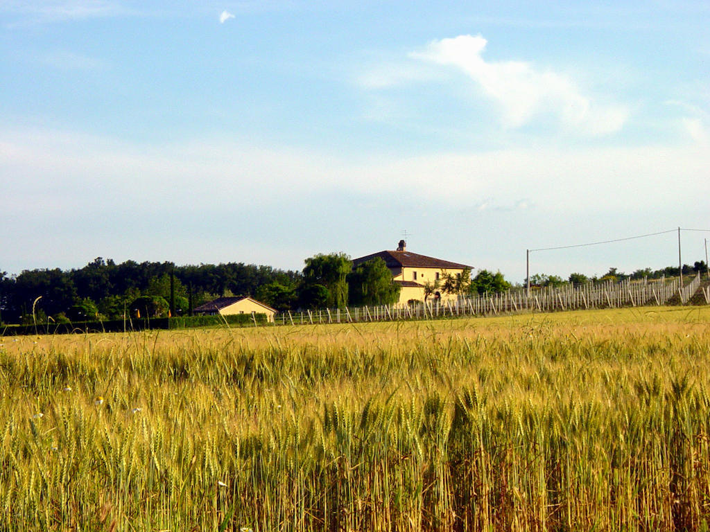 Agriturismo Verbena 拉戈堡 外观 照片