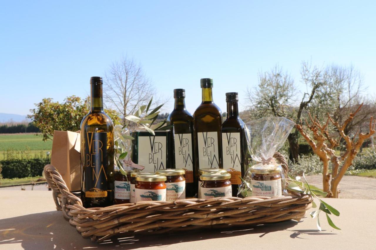 Agriturismo Verbena 拉戈堡 外观 照片