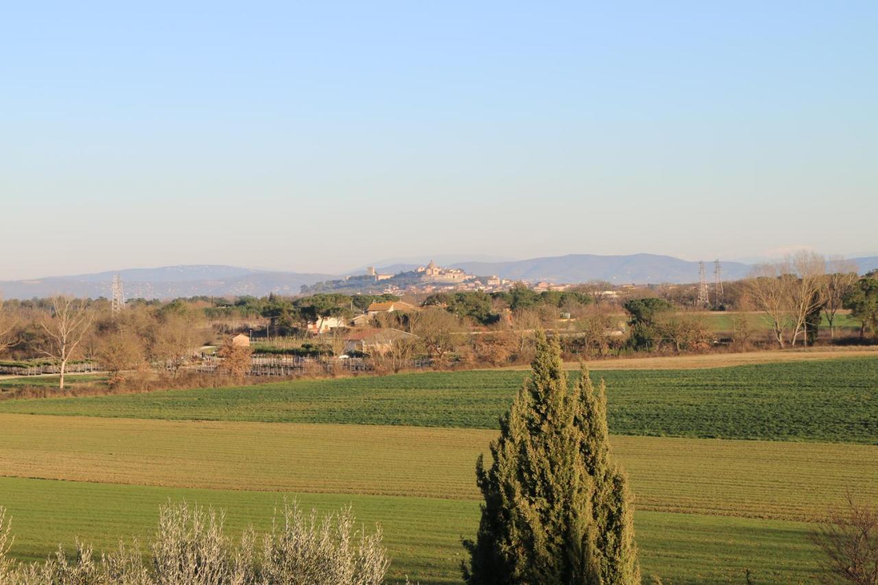 Agriturismo Verbena 拉戈堡 外观 照片